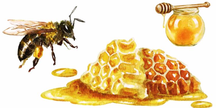 cm94_header_honey - Carroll News | Carroll Publications | Carroll County, MD