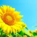 currents-aug-sept-2024 - Carroll News | Carroll Publications | Carroll County, MD
