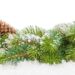 holiday-happenings-feature - Carroll News | Carroll Publications | Carroll County, MD