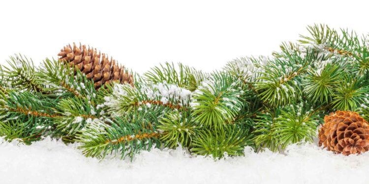 holiday-happenings-feature - Carroll News | Carroll Publications | Carroll County, MD