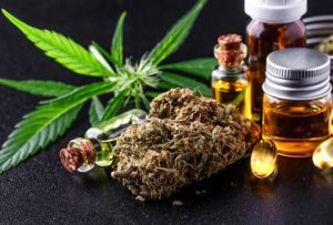 - Carroll News | Carroll Publications | Carroll County, MD Carroll's Bud Boom