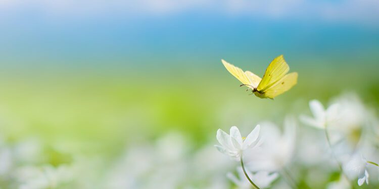shutterstock_2259081257-web - Carroll News | Carroll Publications | Carroll County, MD
