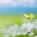 shutterstock_2259081257-web - Carroll News | Carroll Publications | Carroll County, MD