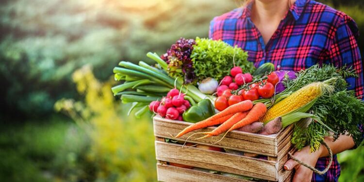 vegetables_1564791409-web - Carroll News | Carroll Publications | Carroll County, MD