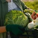 farmersmarket-currents - Carroll News | Carroll Publications | Carroll County, MD
