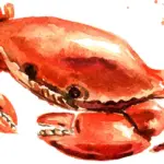 crab_feature image - Carroll News | Carroll Publications | Carroll County, MD Watercolor illustration of a red-orange crab with raised claws